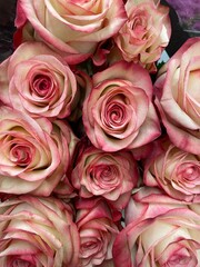 bouquet of pink roses
