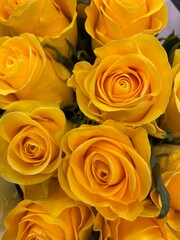 bouquet of yellow roses