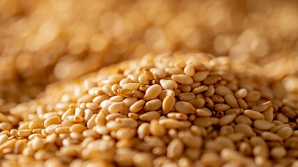 Close-up of Organic White Sesame seeds (Sesamum indicum) or white Til with shell in white ceramic bowl with the gradient background of White Sesame seeds. Close-up of Organic White Sesame seed
