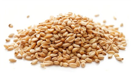 Close-up of Organic White Sesame seeds (Sesamum indicum) or white Til with shell in white ceramic bowl with the gradient background of White Sesame seeds. Close-up of Organic White Sesame seed
