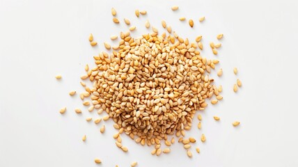 Close-up of Organic White Sesame seeds (Sesamum indicum) or white Til with shell in white ceramic bowl with the gradient background of White Sesame seeds. Close-up of Organic White Sesame seed
