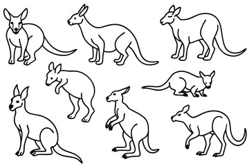 Kangaroo line art illustration Design Concepts