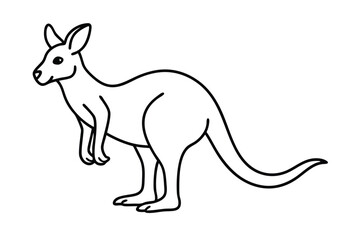 Kangaroo line art illustration Design Concepts