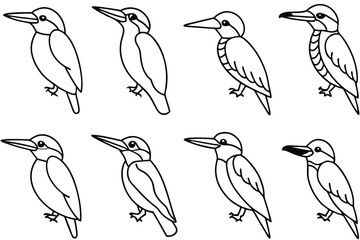 Obraz premium Kingfisher bird line art illustration