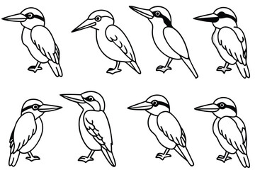 Kingfisher bird line art illustration