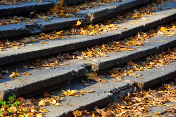 Old damaged concrete stairs covered in yellow leaves. Stairs in park covered in autumn leaves....