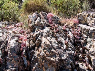 hiking GR20 trail corsica france