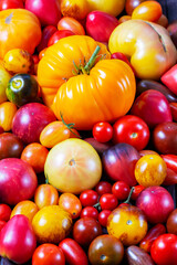 Tomatoes of various varieties and sizes on an iron tray on a wooden table.
