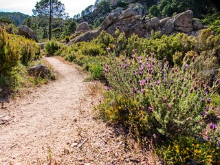 Obraz premium hiking GR20 trail corsica france