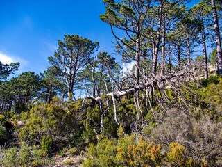 hiking GR20 trail corsica france