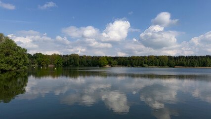 Obraz premium lake in the forest