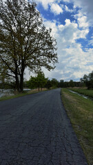 An empty road by the lake on a cloudy summer day
