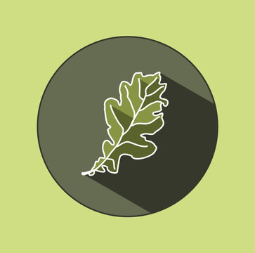 recommend clip art: The original logo of a common oak leaf in a circle with shadows. Icon in green shades. Ecological design. Summer mood.
