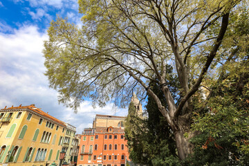 Maisons color&eacute;es et arbres &agrave; Venise en Italie