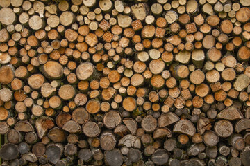 pile of natural wooden logs background