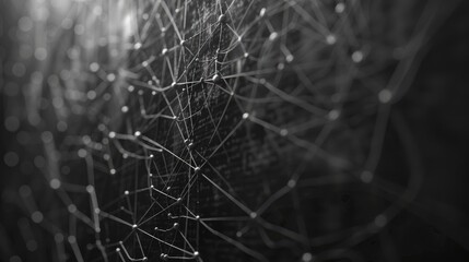 Blackboard close up network