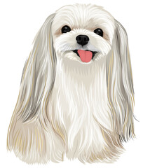 Tiny Yorkshire terrier puppy cartoon drawing dog drawing funny post dog lover