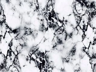 Classic black and white marble texture with intricate veining creating a luxurious feel elegant 