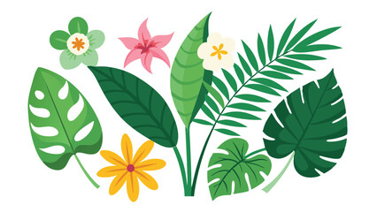 Tropical leaves. Cartoon jungle exotic palm plants and flowers. Banana, philodendron, plumeria, monstera leaf isolated on white background. Floral element vector set  © TA graphic design
