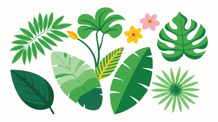 Tropical leaves. Cartoon jungle exotic palm plants and flowers. Banana, philodendron, plumeria, monstera leaf isolated on white background. Floral element vector set  © TA graphic design