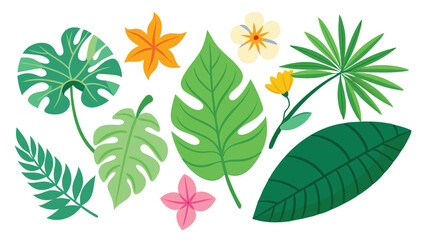 Tropical leaves. Cartoon jungle exotic palm plants and flowers. Banana, philodendron, plumeria, monstera leaf isolated on white background. Floral element vector set  © Tanvir