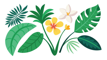 Tropical leaves. Cartoon jungle exotic palm plants and flowers. Banana, philodendron, plumeria, monstera leaf isolated on white background. Floral element vector set  © TA graphic design