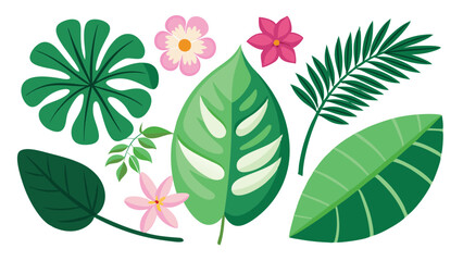 Tropical leaves. Cartoon jungle exotic palm plants and flowers. Banana, philodendron, plumeria, monstera leaf isolated on white background. Floral element vector set  © Tanvir