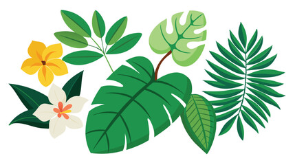 Tropical leaves. Cartoon jungle exotic palm plants and flowers. Banana, philodendron, plumeria, monstera leaf isolated on white background. Floral element vector set  © TA graphic design