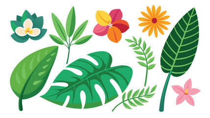 Tropical leaves. Cartoon jungle exotic palm plants and flowers. Banana, philodendron, plumeria, monstera leaf isolated on white background. Floral element vector set 