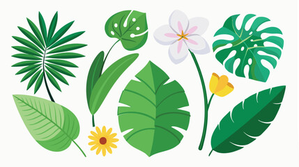 Tropical leaves. Cartoon jungle exotic palm plants and flowers. Banana, philodendron, plumeria, monstera leaf isolated on white background. Floral element vector set  © TA graphic design