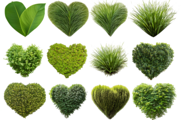 Serie de corazones, realizados con hojas de la nauraleza