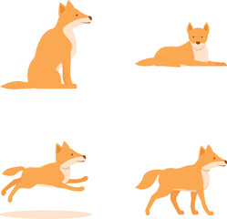 Australian dog icons set cartoon vector. Cute wild dog dingo. Breed canine