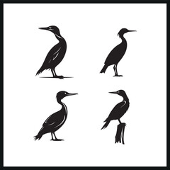 Obraz premium Cormorant bird Black silhouette vector. art. 