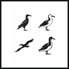 Fototapeta premium Vector albatross bird silhouette