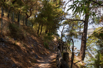 Beautiful seaside landscape in the area of ​​Aliki / Alyki island of Thassos Greece.