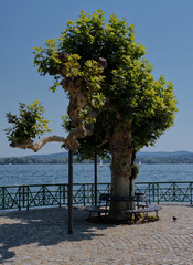 panorama of lake Maggiore,Piedmont,Italy.