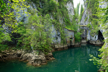 Cheile Orzei  - Orzei Gorge located north of the Scropoasa lake in the Bucegi Mountains, Romania