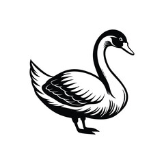 Berwick swan silhouette vector art illustrator isolated on white background