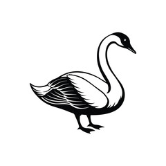 Berwick swan silhouette vector art illustrator isolated on white background
