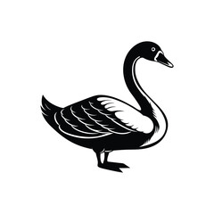 Berwick swan silhouette vector illustrator isolated on white background