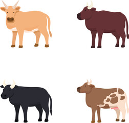 Collection of four cute illustrated cows in different colors isolated on white background