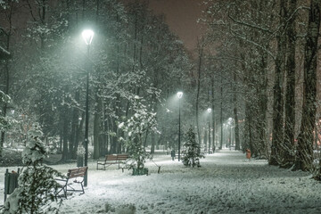 Park nocą, alejka w blasku latarni