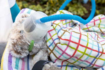 A children's teddy bear made to look like a hospital patient in a bed, children's hospital concept