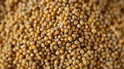 Fototapeta premium Unprocessed pearl millet stack seen from above