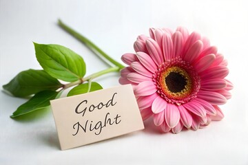 Flower with good night sign on white background