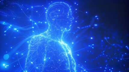 nerve connections in the human body.