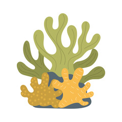 coral reef on a white background