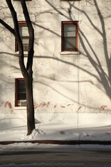 Winter Shadows on Brick Wall