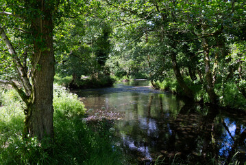 Killarney, Ireland - River Deenagh