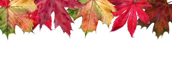 A Beautiful Autumn Leaves Border Design for Your Seasonal Home Decor and Celebrations
